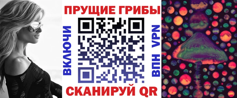 купить  сайты  Петухово  Псилоцибиновые грибы прущие грибы 